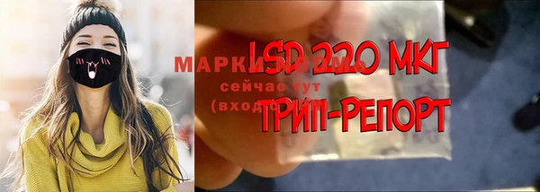 МДПВ Алзамай