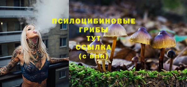 МДПВ Алзамай