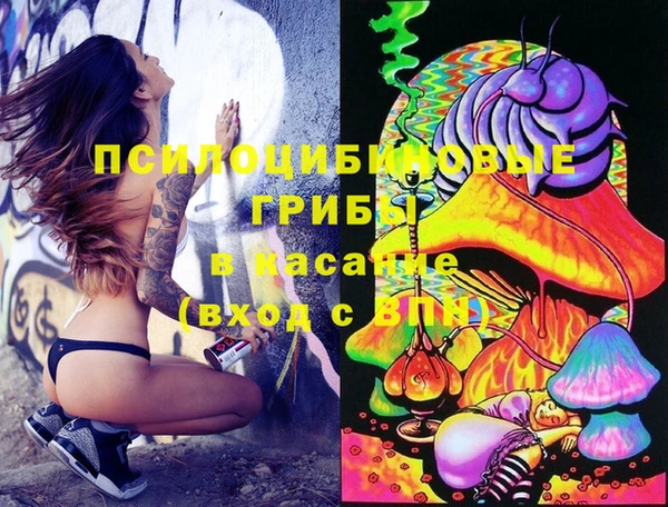 МДПВ Алзамай