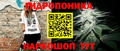 мдпв Дубна